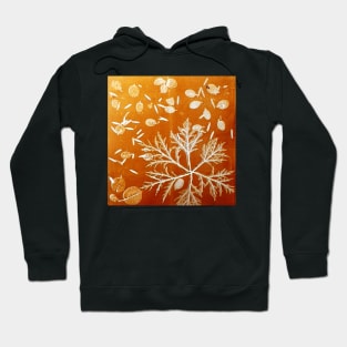 Mornington Peninsula Grasslands 13 Hoodie